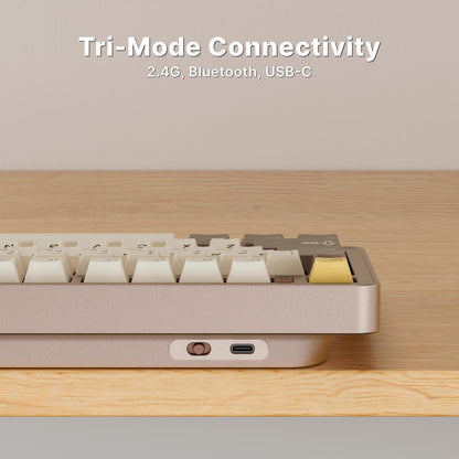 Ticktype EVO75 Wireless Custom Mechanical Keyboard